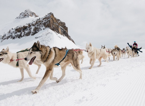dog sledding on glacier 3000
