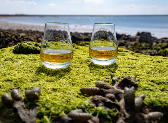 Tasting of single malt or blended Scotch whisky and seabed at low tide with green algae and stones on background, private whisky distillery tours in Scotland, UK