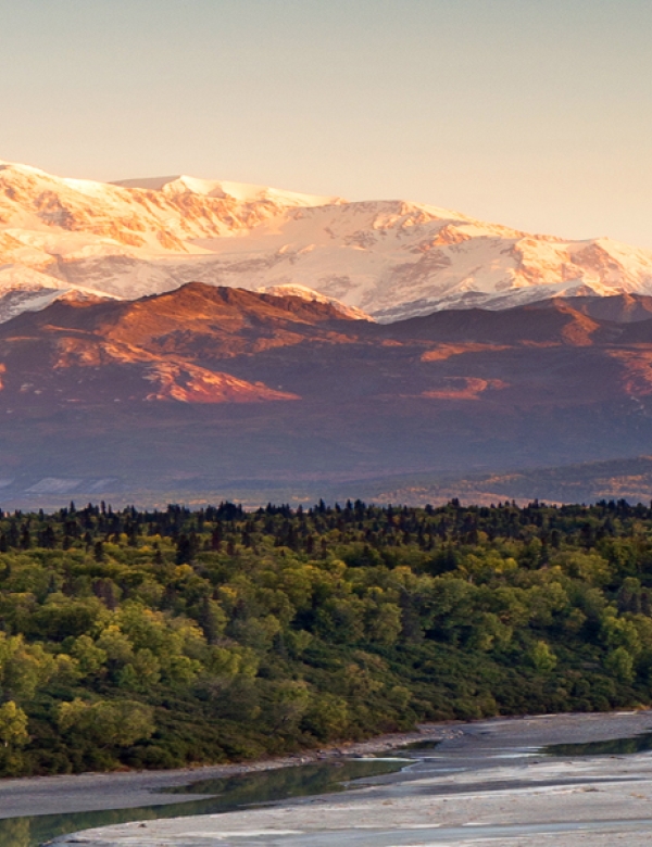 Denali-National-Park-Landscapes-1800x600
