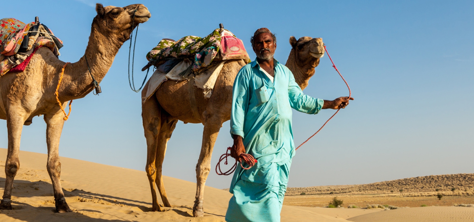 3-Camels-and-guide-India