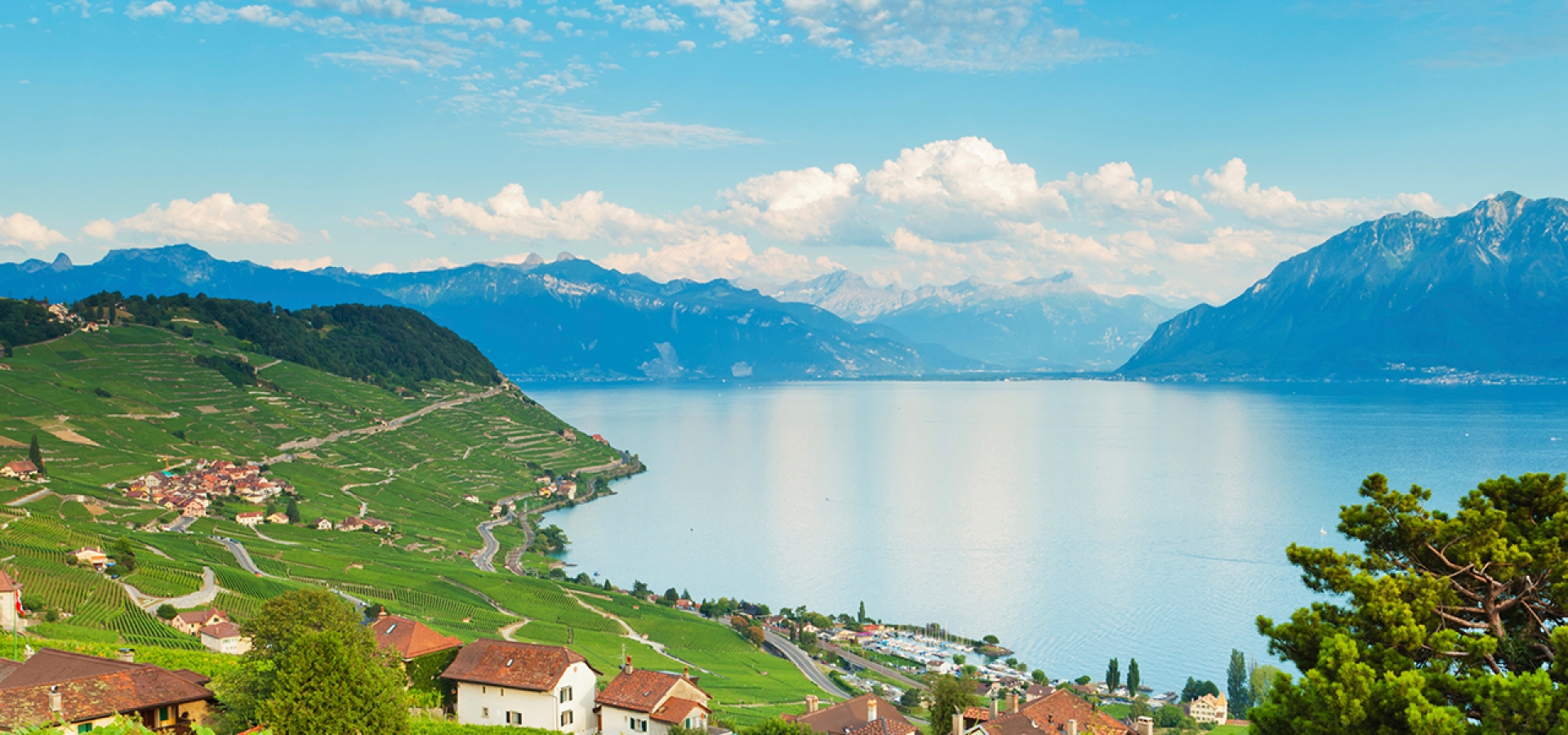 Geneva Lake Mountains Vineyard
