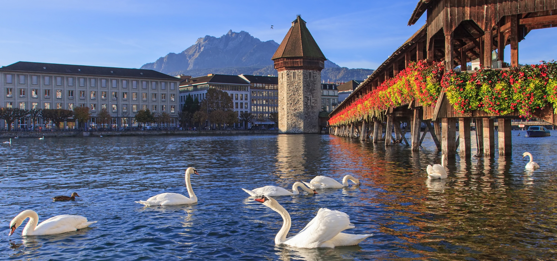 Lucerne chapel bridge