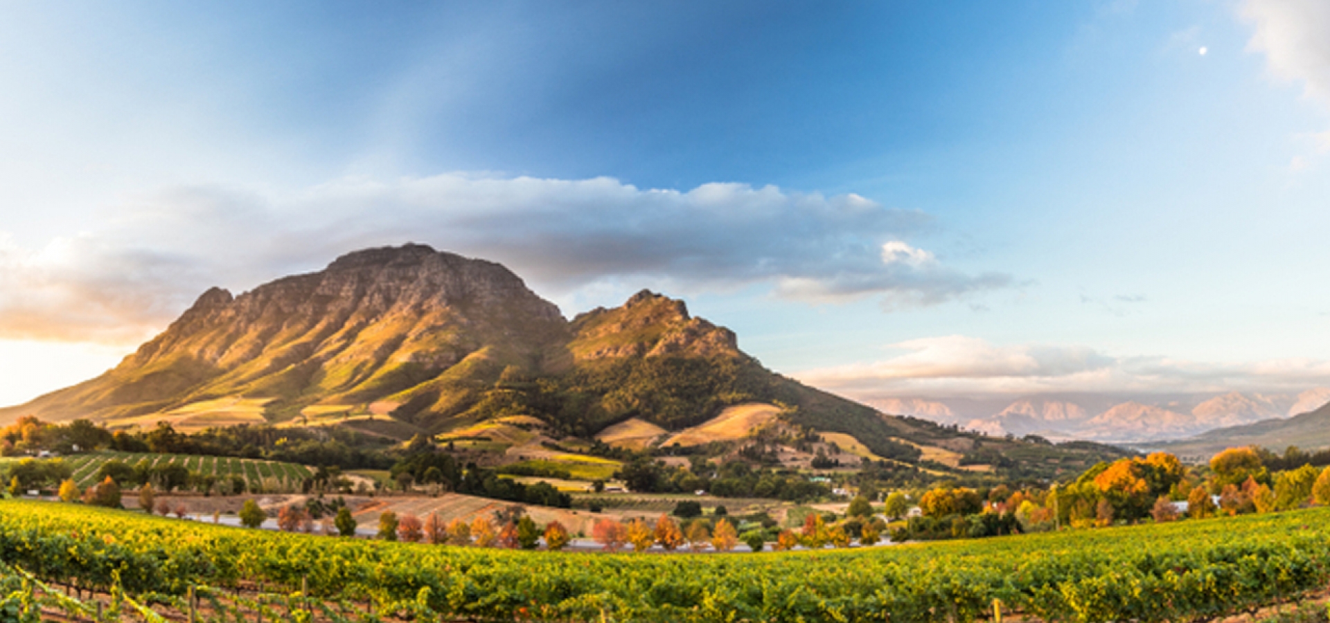 Stellenbosch-South-Africa-1800x600