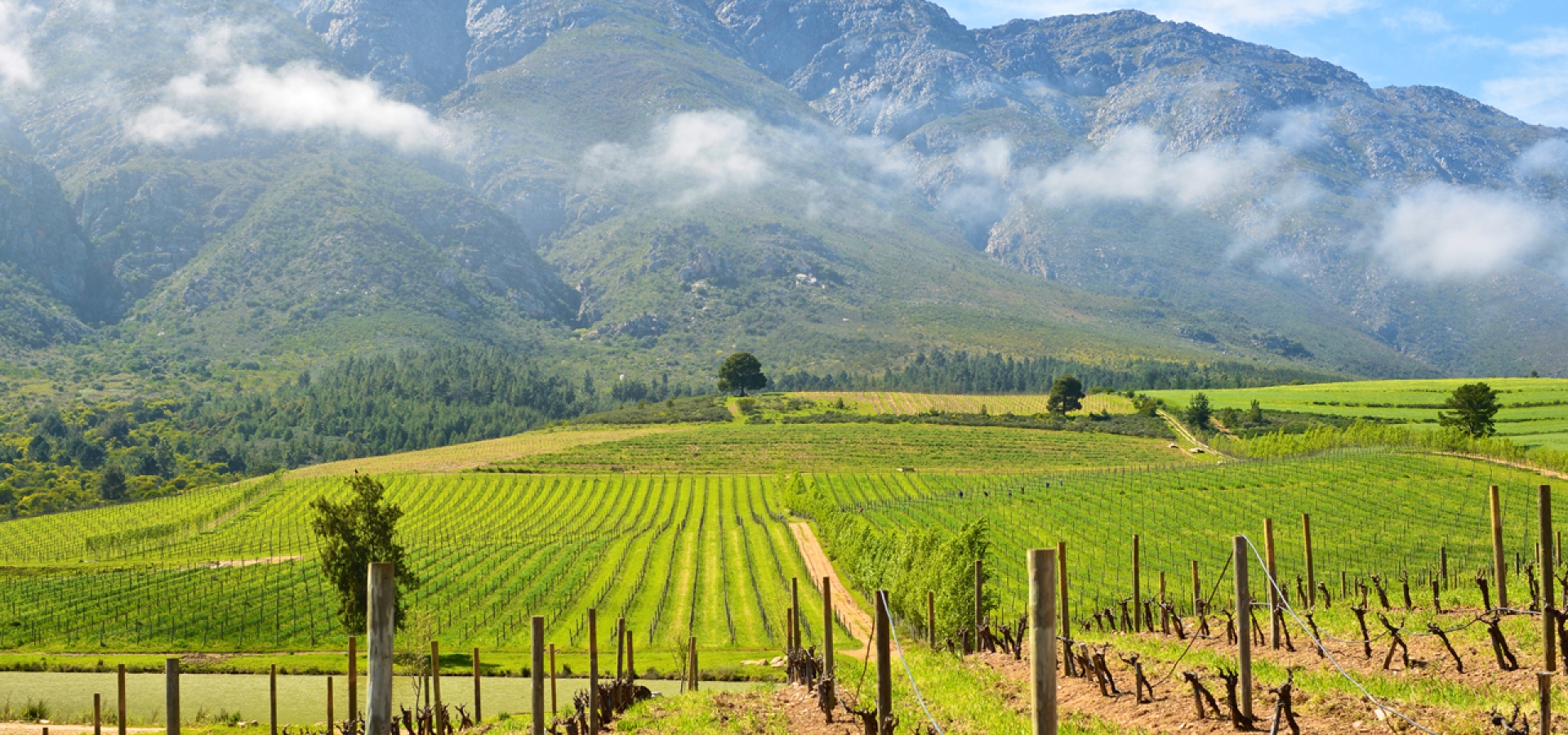 Tulbagh-South-Africa-Vineyards-Landscape-1800x600
