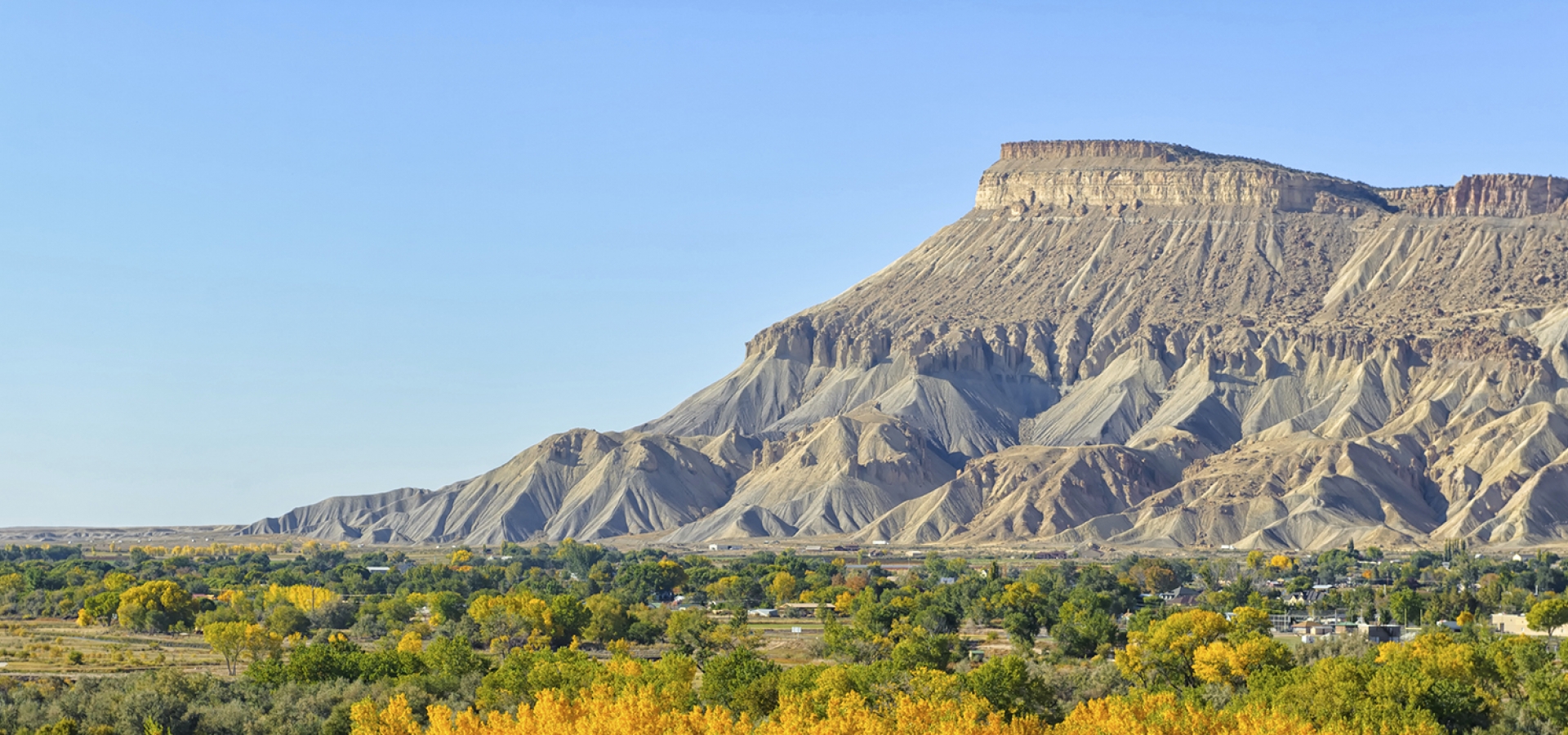 Grand Junction Colorado Fall Colors