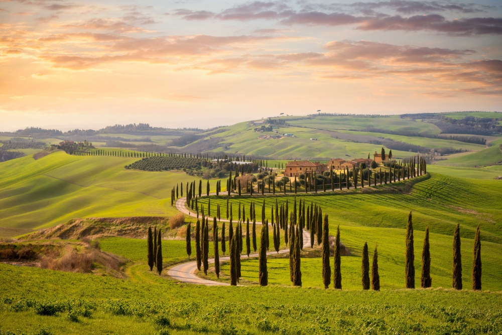 tuscany_1367154512_italy_web_winery
